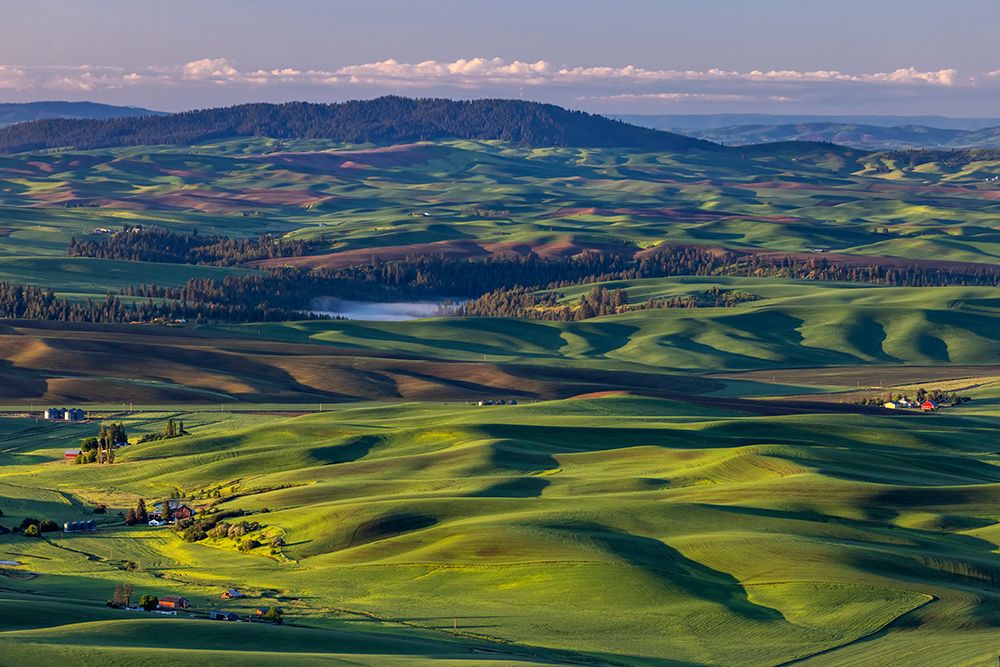 Rolling hills with barns from Steptoe Butte near Colfax-Washington State-USA art print by Chuck Haney for $57.95 CAD